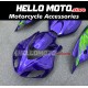Honda CBR 1000RR 2006-2007 Fairing P/N 1G78