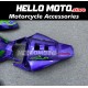 Honda CBR 1000RR 2006-2007 Fairing P/N 1G78