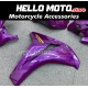 Honda CBR 1000RR 2008-2011 Fairing P/N 1H30 Honda CBR 1000RR 2008-2011 Fairing P/N 1H30
