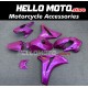 Honda CBR 1000RR 2008-2011 Fairing P/N 1H51