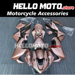 Honda CBR 1000RR 2017-2020 Fairing P/N 1BB1