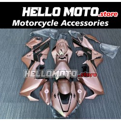 Honda CBR 1000RR 2017-2020 Fairing P/N 1BB1