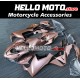 Honda CBR 1000RR 2017-2020 Fairing P/N 1BB1 Honda CBR 1000RR 2017-2020 Fairing P/N 1BB1