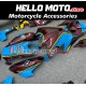 Honda CBR 1000RR 2017-2020 Fairing P/N 1BB6 Honda CBR 1000RR 2017-2020 Fairing P/N 1BB6