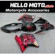 Honda CBR 1100XX SuperBlackBird 1997-2007 Fairing P/N 1AH1