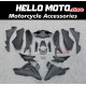 Honda CBR 250R MC41 2011-2015 Fairing P/N 1R1