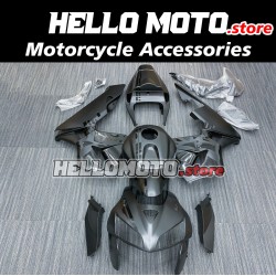 Honda CBR 600RR 2005-2006 Fairing P/N 1B3