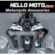 Honda CBR 600RR 2005-2006 Fairing P/N 1B9