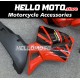 Honda CBR 600RR 2005-2006 Fairing P/N 1B26 Honda CBR 600RR 2005-2006 Fairing P/N 1B26