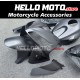 Honda CBR 600RR 2005-2006 Fairing P/N 1B82