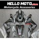 Honda CBR 600RR 2007-2008 Fairing P/N 1C8