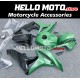 Honda CBR 600RR 2007-2008 Fairing P/N 1C29 Honda CBR 600RR 2007-2008 Fairing P/N 1C29