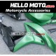 Honda CBR 600RR 2007-2008 Fairing P/N 1C29 Honda CBR 600RR 2007-2008 Fairing P/N 1C29