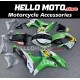 Honda CBR 600RR 2007-2008 Fairing P/N 1C38