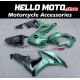 Honda CBR 600RR 2007-2008 Fairing P/N 1C29 Honda CBR 600RR 2007-2008 Fairing P/N 1C29