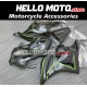 Honda CBR 600RR 2009-2012 Fairing P/N 1D8
