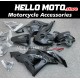 Honda CBR 600RR 2009-2012 Fairing P/N 1D24 Honda CBR 600RR 2009-2012 Fairing P/N 1D24