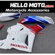 Honda CBR 600RR 2009-2012 Fairing P/N 1D43 Honda CBR 600RR 2009-2012 Fairing P/N 1D43