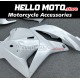 Honda CBR 600RR 2009-2012 Fairing P/N 1D37 Honda CBR 600RR 2009-2012 Fairing P/N 1D37