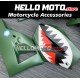 Honda CBR 600RR 2013-2020 Fairing P/N 1E3 Honda CBR 600RR 2013-2020 Fairing P/N 1E3