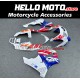 Honda CBR 900RR 1992-1993 Fairing P/N 1AB2