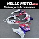 Honda CBR 900RR 1992-1993 Fairing P/N 1AB4
