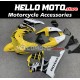 Honda CBR 919 RR 1998-1999 Fairing P/N 1AE3 Honda CBR 919 RR 1998-1999 Fairing P/N 1AE3