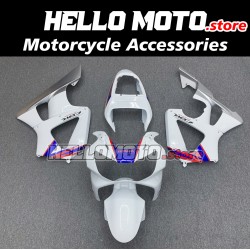 Honda CBR 929RR 2000-2001 Fairing P/N 1AF7