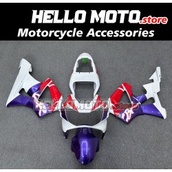 Honda CBR 929RR 2000-2001 Fairing P/N 1AF9