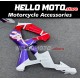 Honda CBR 929RR 2000-2001 Fairing P/N 1AF9