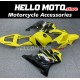 Honda CBR 600 F4I 2001-2003 Fairing P/N 1AX15