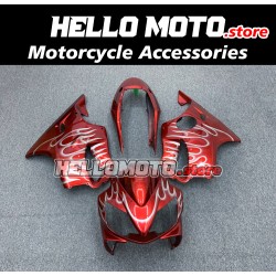 Honda CBR 600 F4I 2004-2007 Fairing P/N 1AA6