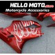 Honda CBR 600 F4I 2004-2007 Fairing P/N 1AA6 Honda CBR 600 F4I 2004-2007 Fairing P/N 1AA6