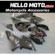 Kawasaki ZX-10R 2004-2005 Fairing P/N 4AX4