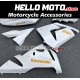 Kawasaki ZX-10R 2004-2005 Fairing P/N 4AX12