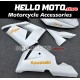 Kawasaki ZX-10R 2004-2005 Fairing P/N 4AX12