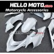 Kawasaki ZX-10R 2004-2005 Fairing P/N 4AX12