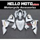 Kawasaki ZX-10R 2004-2005 Fairing P/N 4AX12
