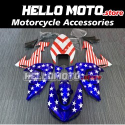 Kawasaki ZX-10R 2006-2007 Fairing P/N 4BF1