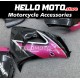 Kawasaki ZX-10R 2006-2007 Fairing P/N 4BF9