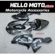 Kawasaki ZX-10R 2006-2007 Fairing P/N 4BF13 Kawasaki ZX-10R 2006-2007 Fairing P/N 4BF13