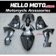 Kawasaki ZX-10R 2006-2007 Fairing P/N 4BF13 Kawasaki ZX-10R 2006-2007 Fairing P/N 4BF13
