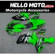 Kawasaki ZX-10R 2006-2007 Fairing P/N 4BF10