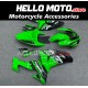 Kawasaki ZX-10R 2006-2007 Fairing P/N 4BF10