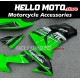 Kawasaki ZX-10R 2006-2007 Fairing P/N 4BF10