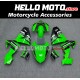 Kawasaki ZX-10R 2006-2007 Fairing P/N 4BF10