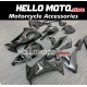 Kawasaki ZX-10R 2008-2010 Fairing P/N 4K4