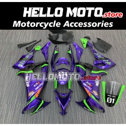 Kawasaki ZX-10R 2008-2010 Fairing P/N 4K5