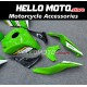 Kawasaki ZX-10R 2008-2010 Fairing P/N 4K14 Kawasaki ZX-10R 2008-2010 Fairing P/N 4K14