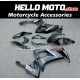 Kawasaki ZX-10R 2008-2010 Fairing P/N 4K1